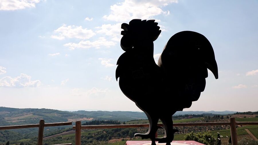 From Florence: Chianti Wine Tour with Tastings - The Drive Through Chianti Hills: Learn While You Look