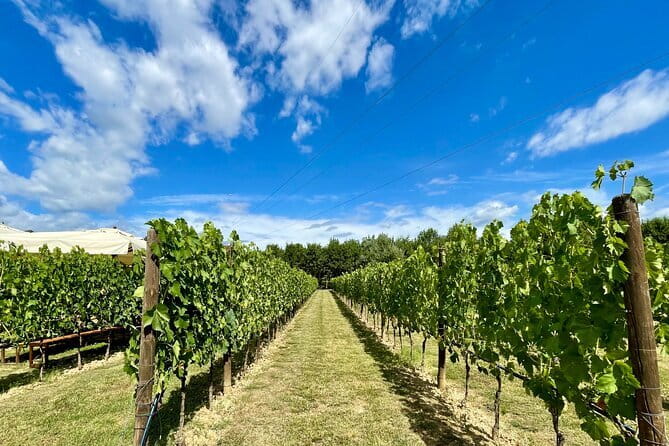 From Florence: Classic Chianti Villages and Wine Roads by Minivan - Key points to know before you go