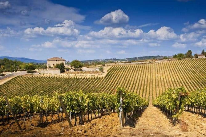 From Florence: Classic Chianti Villages and Wine Roads by Minivan - The farmhouse lunch near San Gimignano: food that feels like Tuscany
