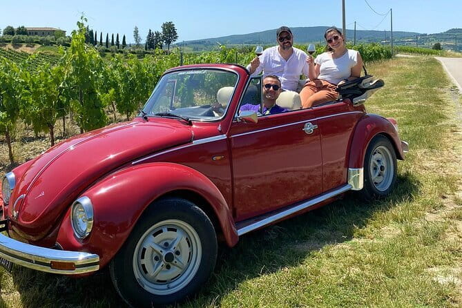 From Florence: Classic Chianti Villages and Wine Roads by Minivan - What the wine and olive oil tasting is really like