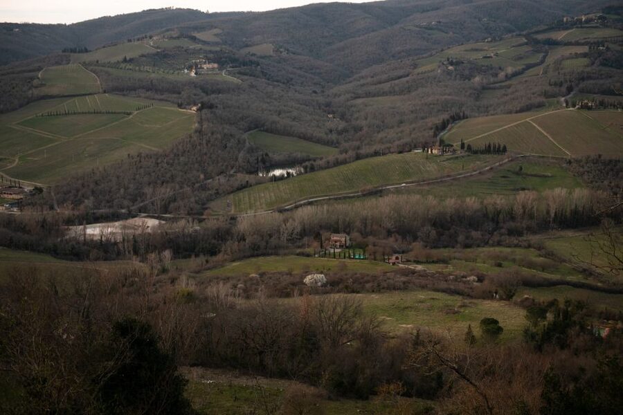 From Florence: Private Chianti Hills Tour with Tasting - The first tasting in town: 3 wines plus typical pairings