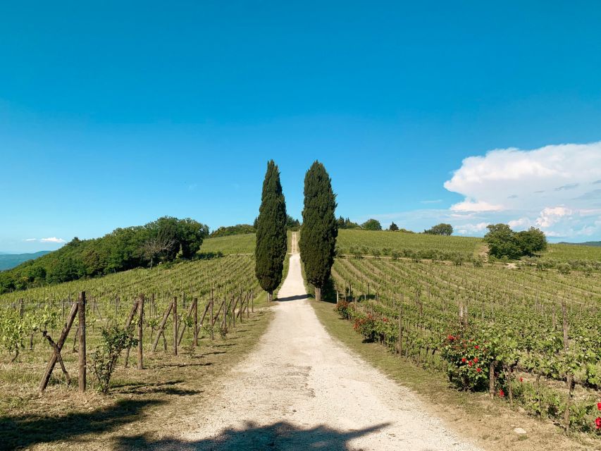 From Florence: Private Chianti Hills Tour with Tasting - Winery visit and grape-to-bottle tour