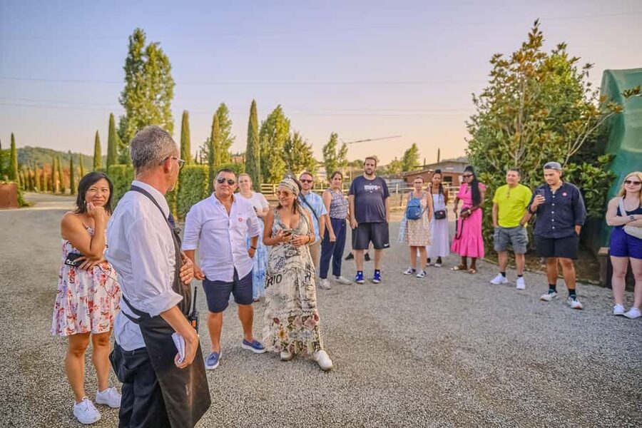 From Florence: Siena and Chianti Wine Tour with Dinner - Price and logistics: where the $105 really goes