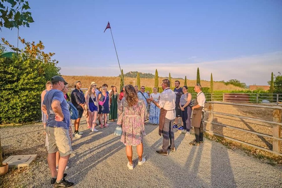 From Florence: Siena and Chianti Wine Tour with Dinner - Who this tour suits best (and who may want a different option)