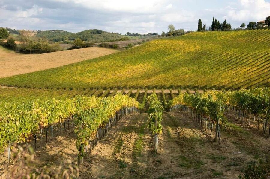 From Florence: Siena & San Gimignano Tour with Wine & Lunch - Wine tastings: four pours, one useful way to learn