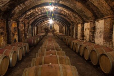 From Florence: Small-Group Tuscany Wine & Oil Tour with typical Tuscan Meal - Boutique winery in Greve: Sangiovese and Canaiolo tastings with real structure