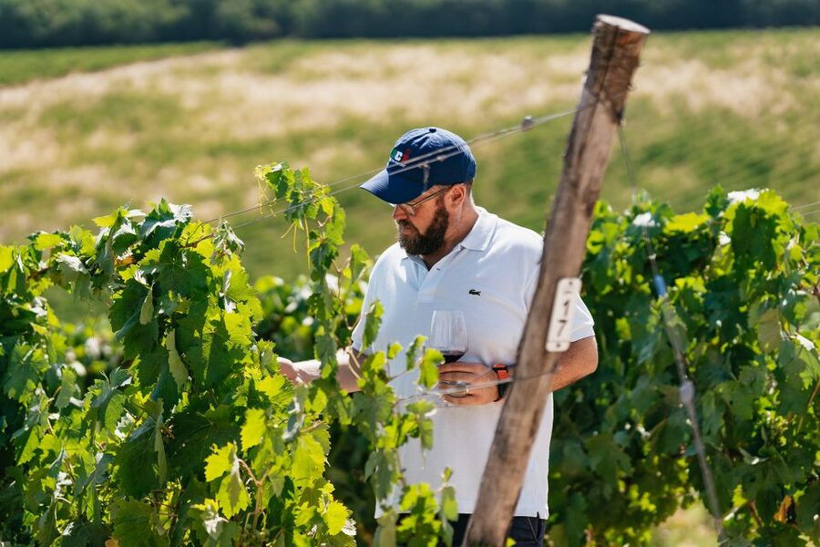 From Florence: Small Group Wine Tasting Tour to Tuscany - A 4.5-hour plan that actually fits wine: how the timing works