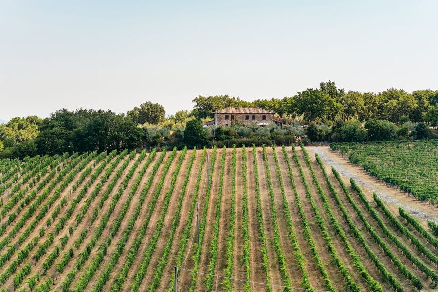 From Florence: Small Group Wine Tasting Tour to Tuscany - Practical tips for a smooth Tuscan tasting day
