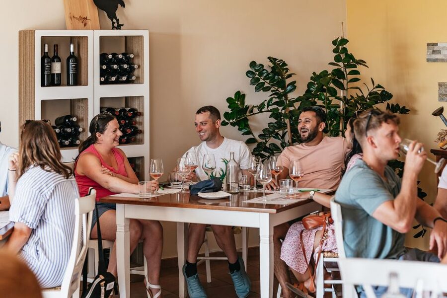 From Florence: Small Group Wine Tasting Tour to Tuscany - Should you book this Tuscany wine tasting tour from Florence?