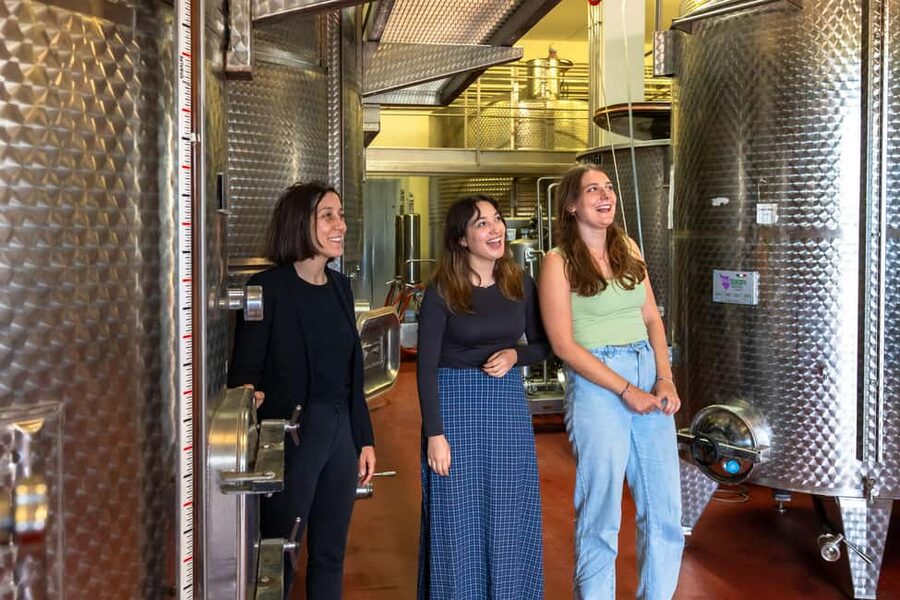 From Florence: Tuscany, Siena, San Gimignano & Winery Lunch - Who This Tour Fits Best (and Who Should Skip It)