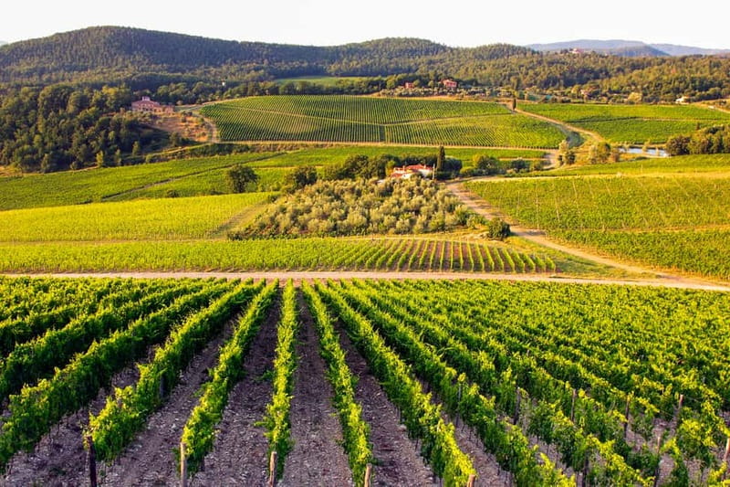 From Florence: Tuscany Wine & Food Tour with Guide - Greve in Chianti: Your Free-Time Break in a Chianti-Classico Town