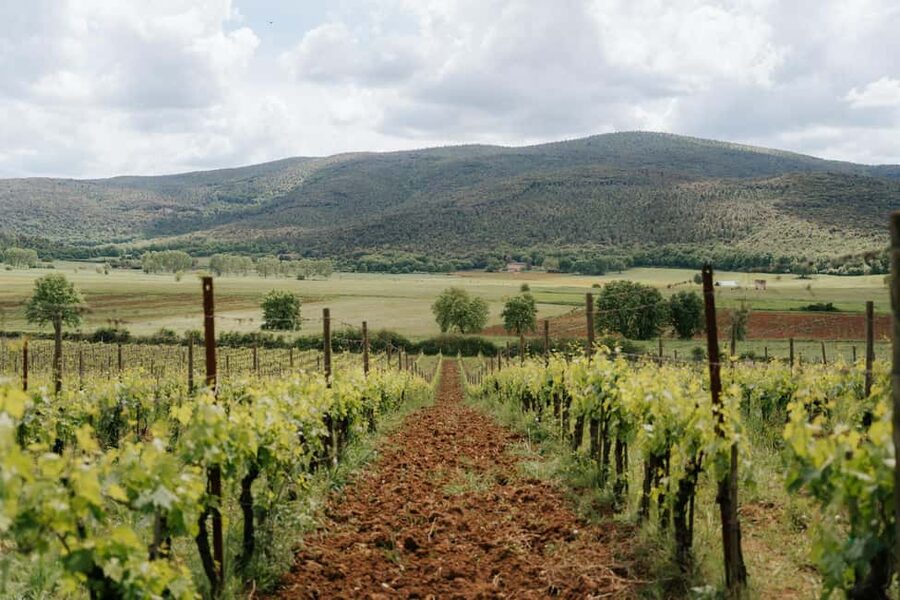 From Florence: Ultimate Tuscany Day Trip with Wine & Lunch - Key points to know before you go