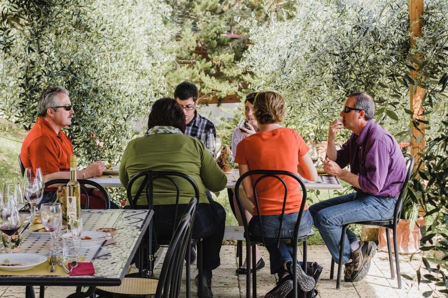 From Florence: Ultimate Tuscany Day Trip with Wine & Lunch - Who this Tuscany day trip suits best