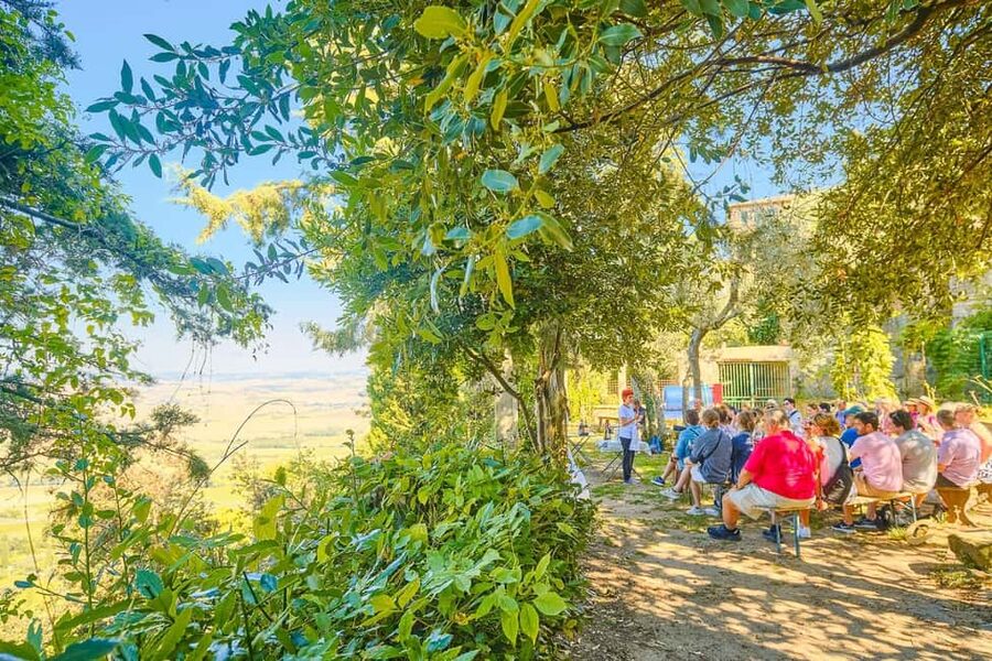 From Florence: Val D'Orcia Tour with Wine Tasting - Montepulciano: Vino Nobile cellars and the New Moon connection
