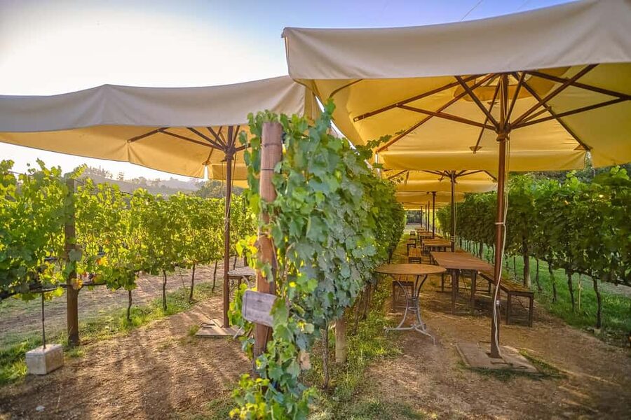 From Florence: Wine Tasting and Dinner in Chianti Vineyards - Chianti Tour Quick Hits