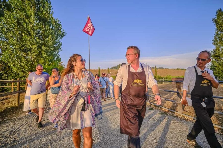 From Florence: Wine Tasting and Dinner in Chianti Vineyards - Wine Tasting Style: Pairing Tips You’ll Actually Use