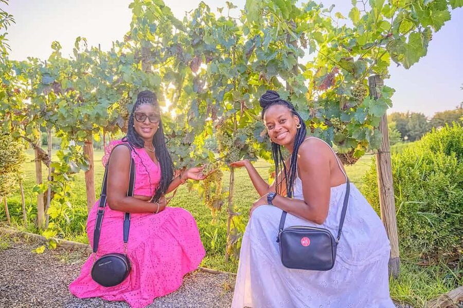 From Florence: Wine Tasting and Dinner in Chianti Vineyards - What Can Go Wrong: Heat, Timing, and the Occasional Dry Course