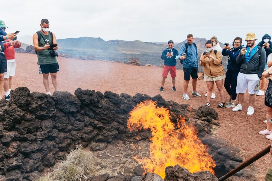 From Fuerteventura: Lanzarote Trip with Wine Tasting & Lunch - Who this Lanzarote trip suits best