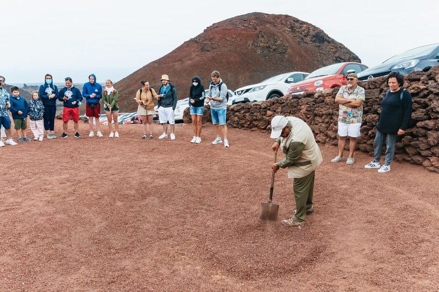 From Fuerteventura: Lanzarote Trip with Wine Tasting & Lunch - Jameos del Agua lava tube and the Jameito crab