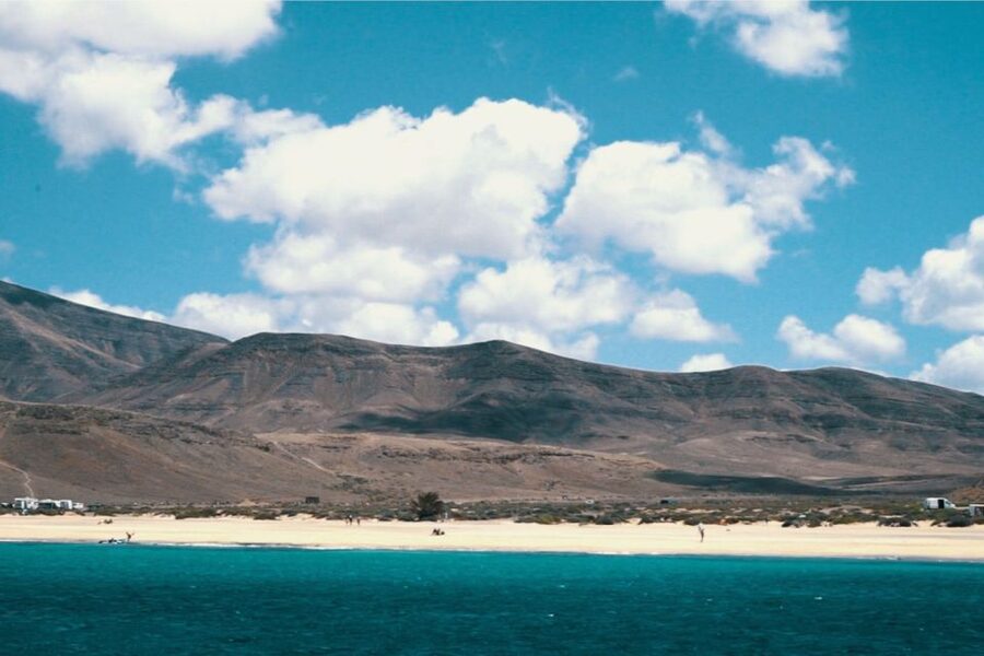 From Fuerteventura: Lanzarote Volcano and Wine Region Tour - La Geria’s vineyards in black ash: the most photogenic hour