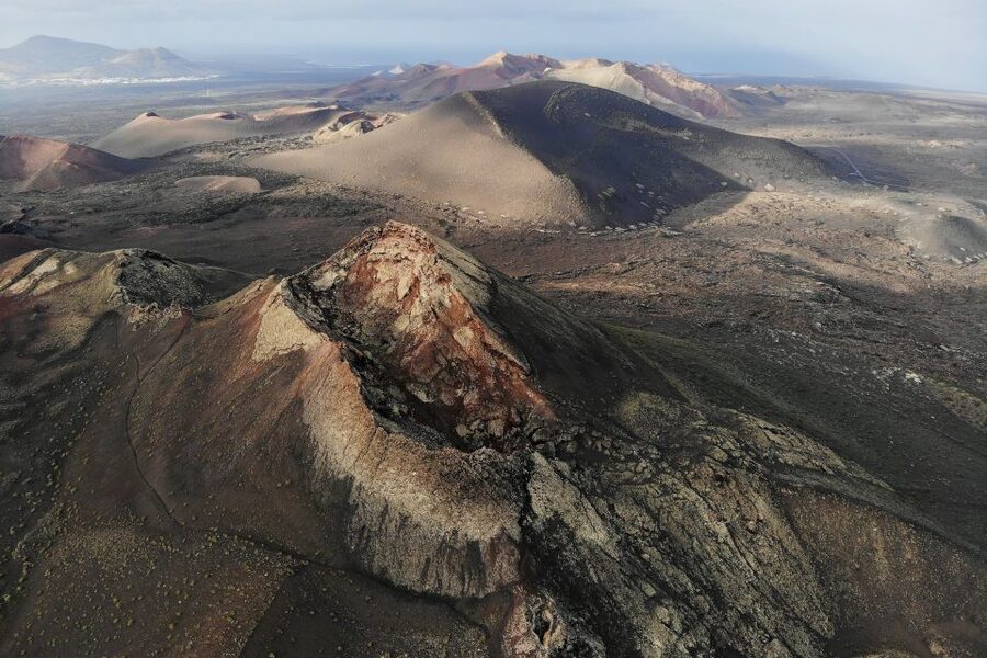 From Fuerteventura: Lanzarote Volcano and Wine Region Tour - Aloe vera museum stop: useful facts, but expect a shop