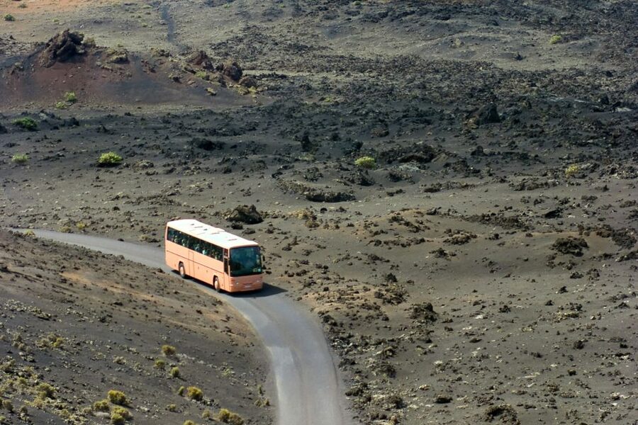 From Fuerteventura: Lanzarote Volcano and Wine Region Tour - Price and value: what $98 buys you, and what it does not