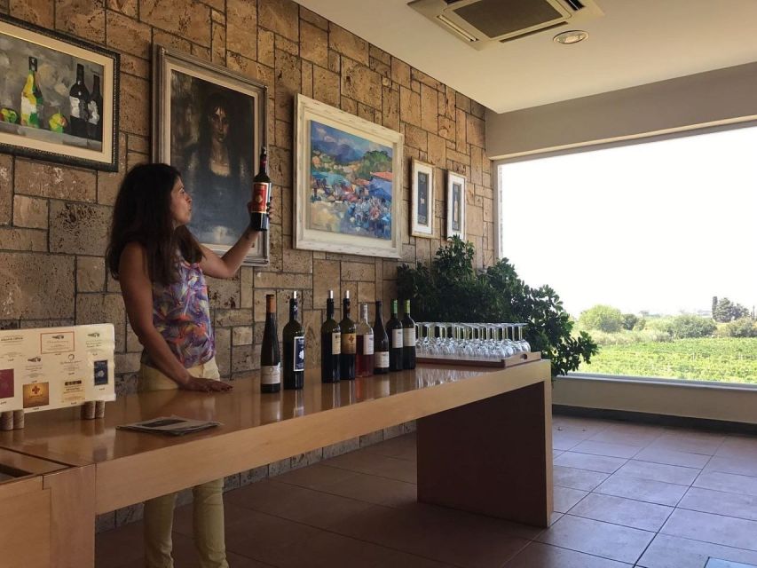 From Kos: Tour of 2 Wineries with Wine Tasting & Small Bites - The South Coast Feeling: Views Between Tastings