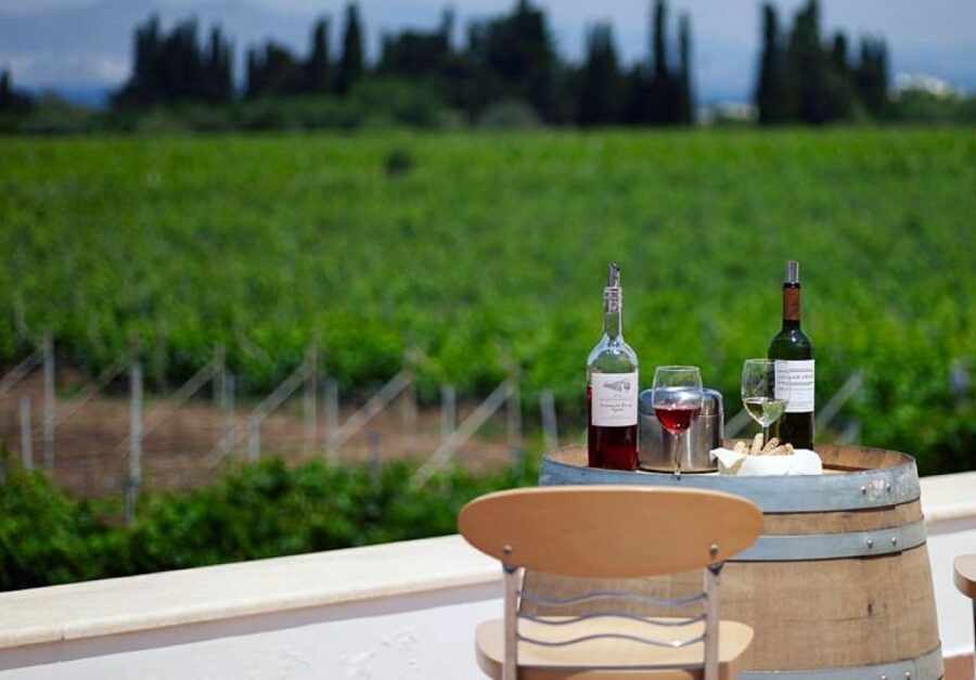 From Kos: Tour of 2 Wineries with Wine Tasting & Small Bites - Views, Transfers, and the Small-Group Pace (What It Feels Like)