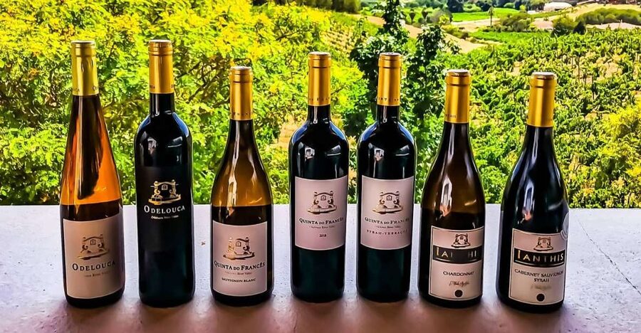 From Lagos: Small-Group 4-Hour Wine Tasting Tour - Starting in Lagos: pickup, minivan ride, and how the time flows