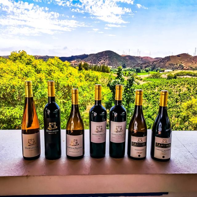 From Lagos: Small-Group 4-Hour Wine Tasting Tour - Inside the winery: production room and the wooden barrel room walk