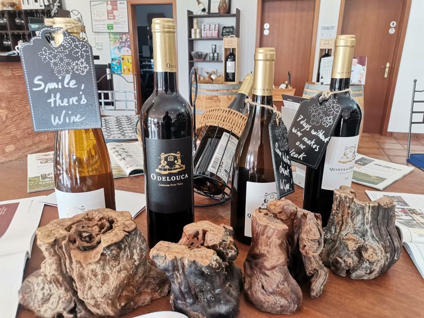 From Lagos: Small-Group 4-Hour Wine Tasting Tour - Is this a wine lesson or just a tasting? What you’ll learn