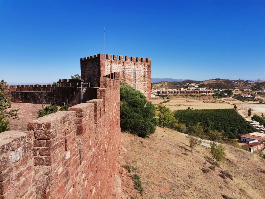 From Lagos: Small-Group 4-Hour Wine Tasting Tour - Price, group size, and value at $76 for 3 wines and tapas