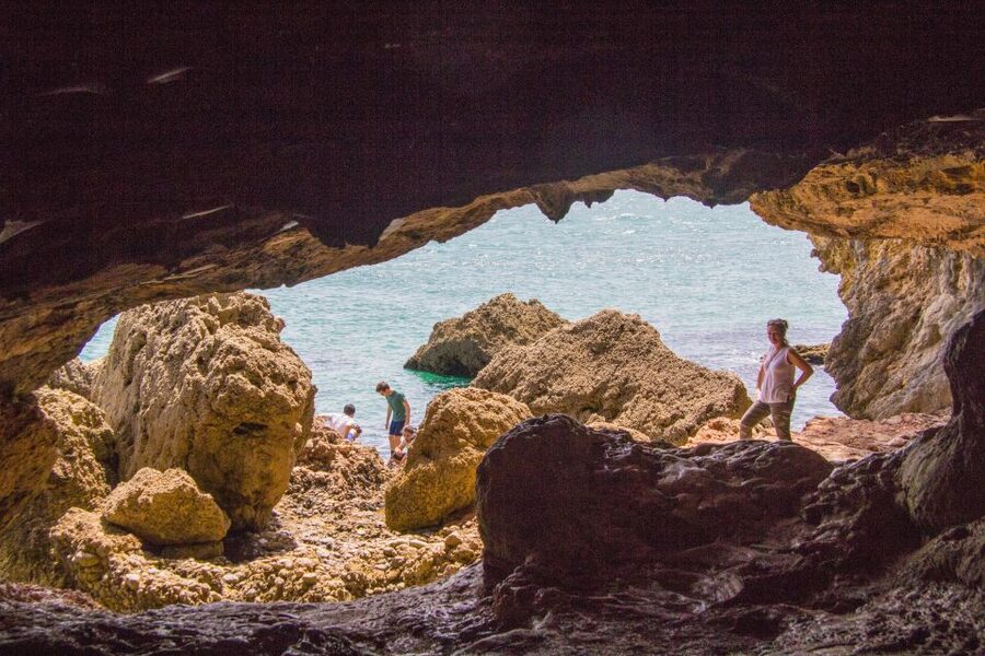 From Lisbon: Arrábida Day Tour & Wine Tasting - A Small-Group Lisbon Escape to Setúbal and Arrábida