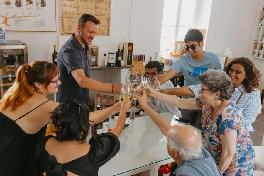 From Lisbon: Évora and Monsaraz Day Tour with Wine Tasting - Van Time, Walking, and Pacing: The Stuff That Makes or Breaks a Day Trip