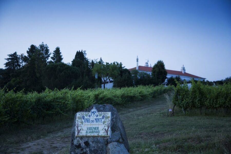 From Lisbon: Évora Wine & Heritage Tour - Who This Tour Fits Best (and Who Might Want Something Else)