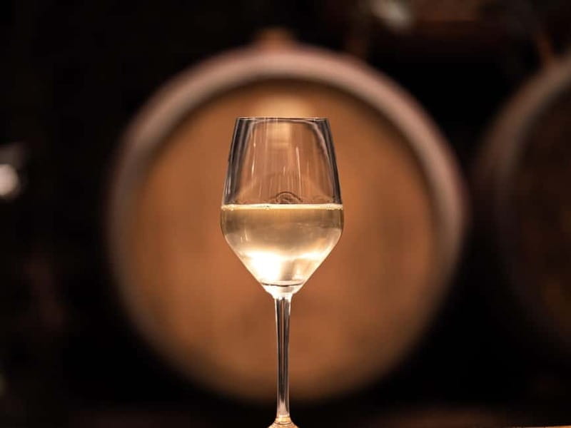 From Ljubljana: Vipava Valley Wine Express Tour - Key points worth knowing