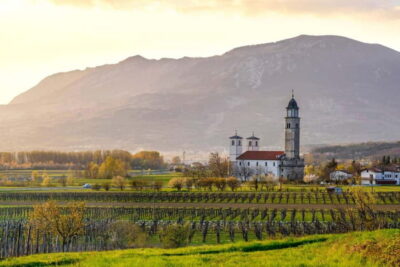 From Ljubljana: Vipava Valley Wine Express Tour - Your First Winery Stop: Organic Vines on Someone’s Home Estate