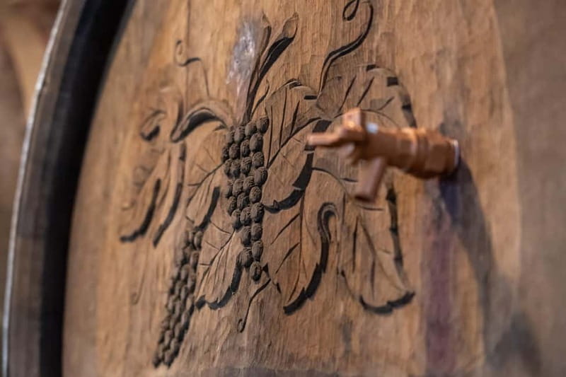 From Ljubljana: Vipava Valley Wine Express Tour - Price Check: Is $105 Worth It for Vipava Valley?
