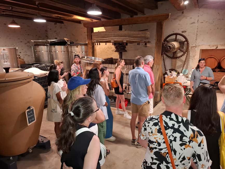 From Lyon: Beaujolais Wine Route Half-Day Tour - Family-run winery finale: meet the winemaker and taste five wines