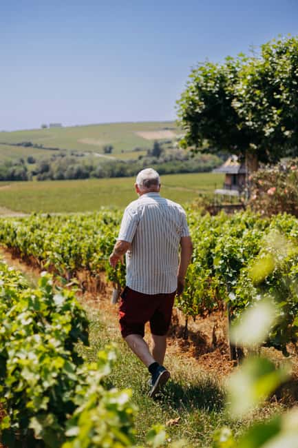 From Lyon: Beaujolais Wine Route Half-Day Tour - Small group comfort, English guiding, and skip-the-line perks