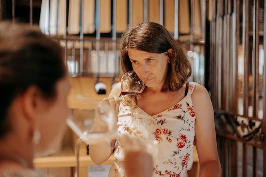 From Lyon: Beaujolais Wine Route Half-Day Tour - Should you book this Beaujolais half-day tour?