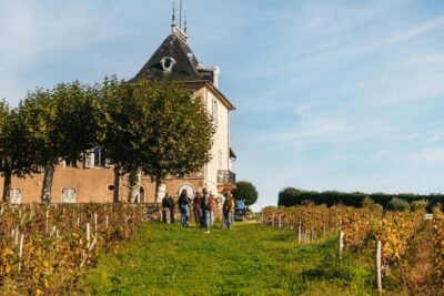 From Lyon: Beaujolais Wine Tour with Tastings - What makes Beaujolais taste like Beaujolais: Gamay and terroir