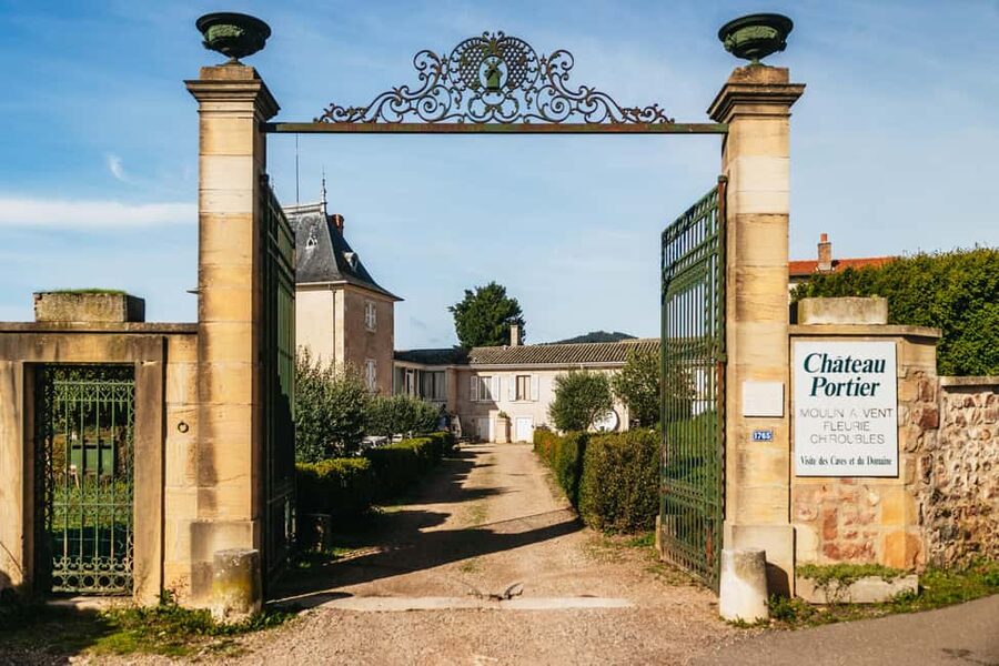 From Lyon: Beaujolais Wine Tour with Tastings - Meeting the winemaker: the part that turns wine into a story