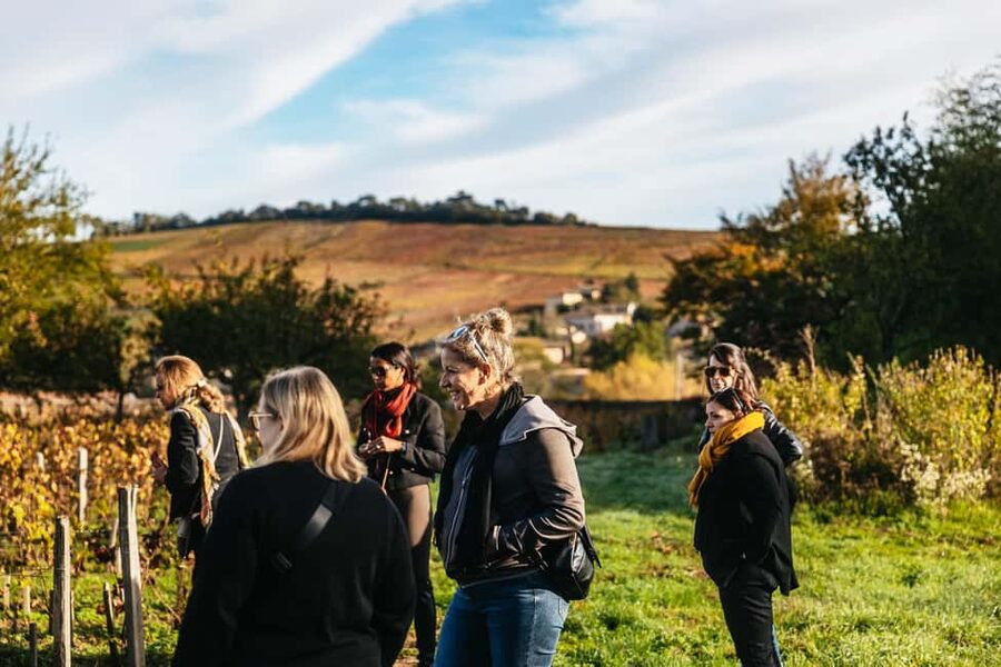 From Lyon: Beaujolais Wine Tour with Tastings - Comfort, timing, and the small-group advantage
