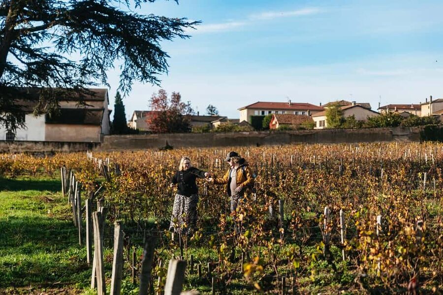 From Lyon: Beaujolais Wine Tour with Tastings - Practical tips so you taste your best bottles