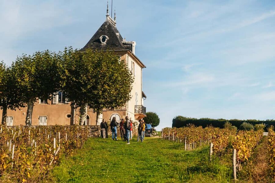 From Lyon: Beaujolais Wine Tour with Tastings - What makes Beaujolais taste like Beaujolais: Gamay and terroir