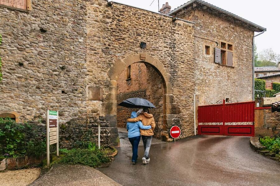 From Lyon: Golden Stones Beaujolais Wine Tasting Tour - Should You Book the Golden Stones Beaujolais Wine Tasting Tour From Lyon?