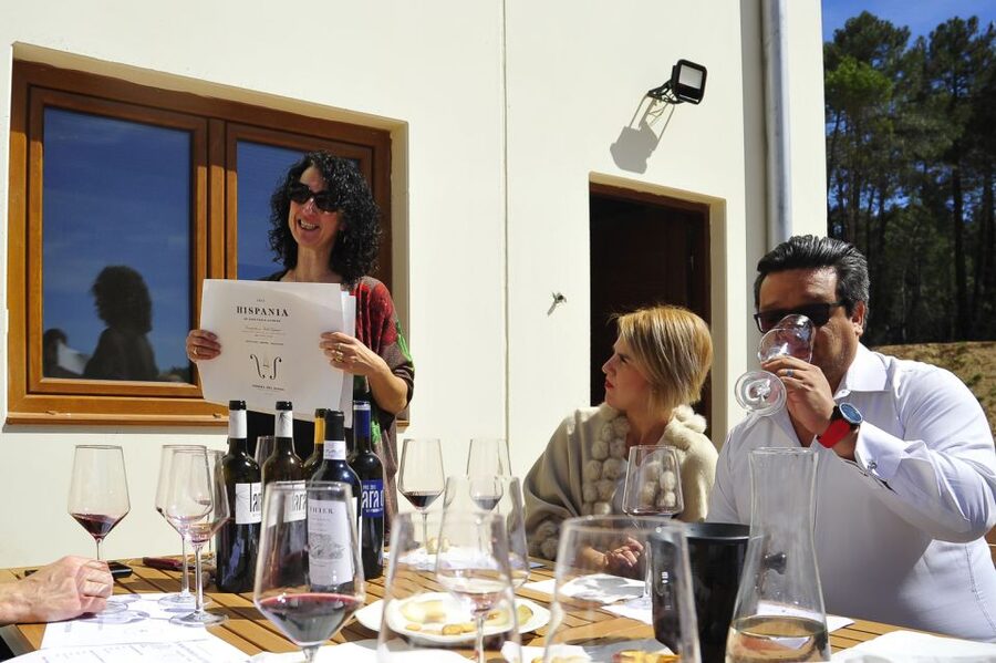 From Madrid: Ribera del Duero Tour of 3 Wineries w/ Tastings - Aranda de Duero Stop 2: Modern Winery Spaces Connected to the Vineyards