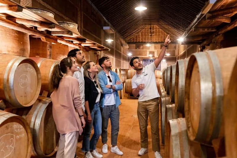 From Madrid: Toledo Guided Tour & Winery Visit with Tasting - Toledo Free Time (105 Minutes): Use It Like a Smart Local