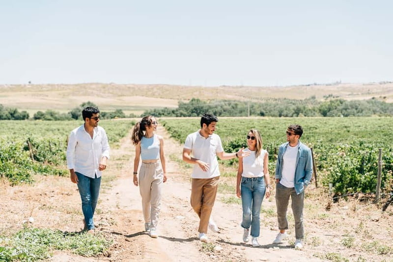 From Madrid: Toledo Guided Tour & Winery Visit with Tasting - Vineyard Walk: Learning the Grapes Without Making It Sound Like School